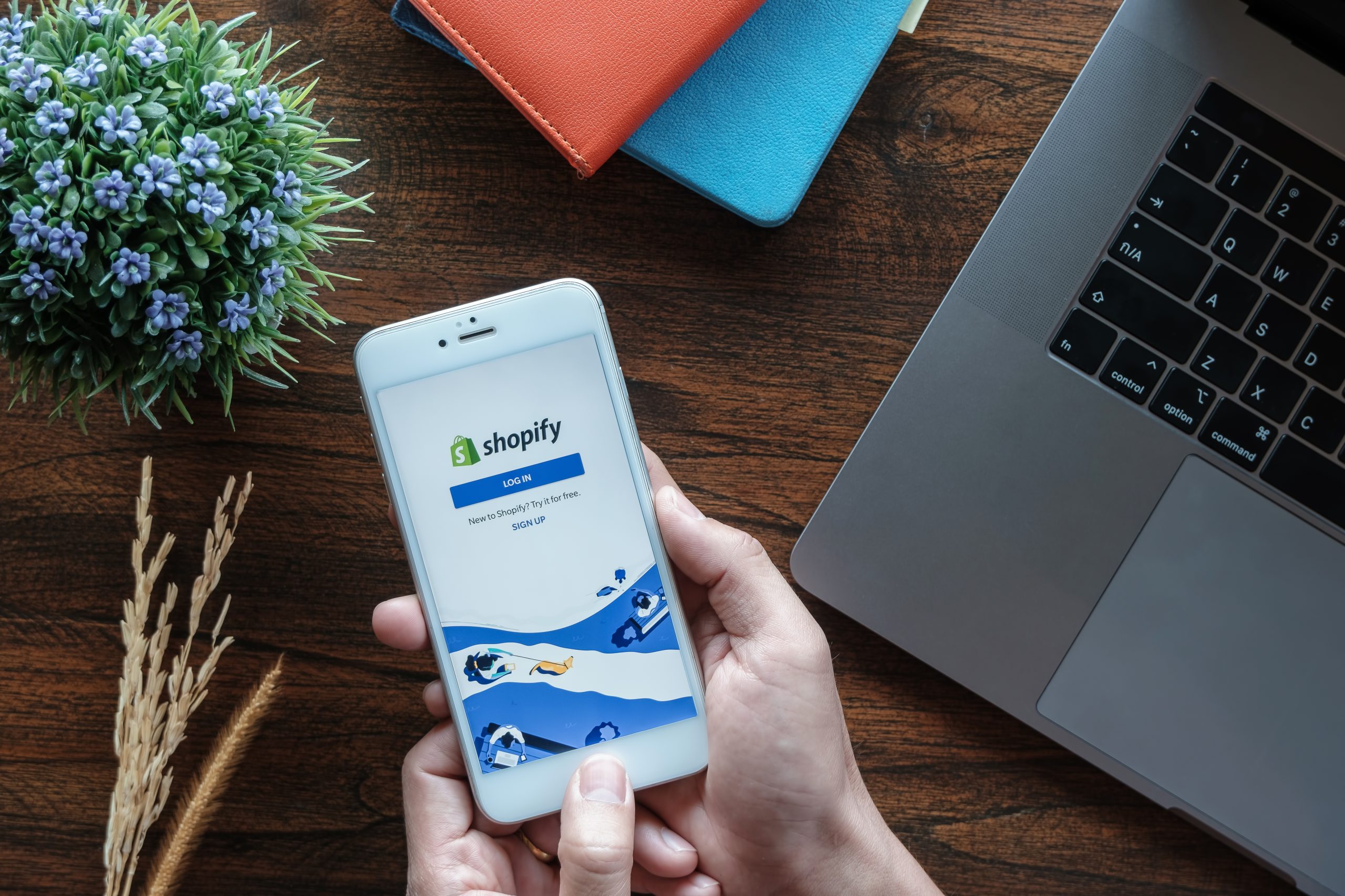 Shopify et SEO 