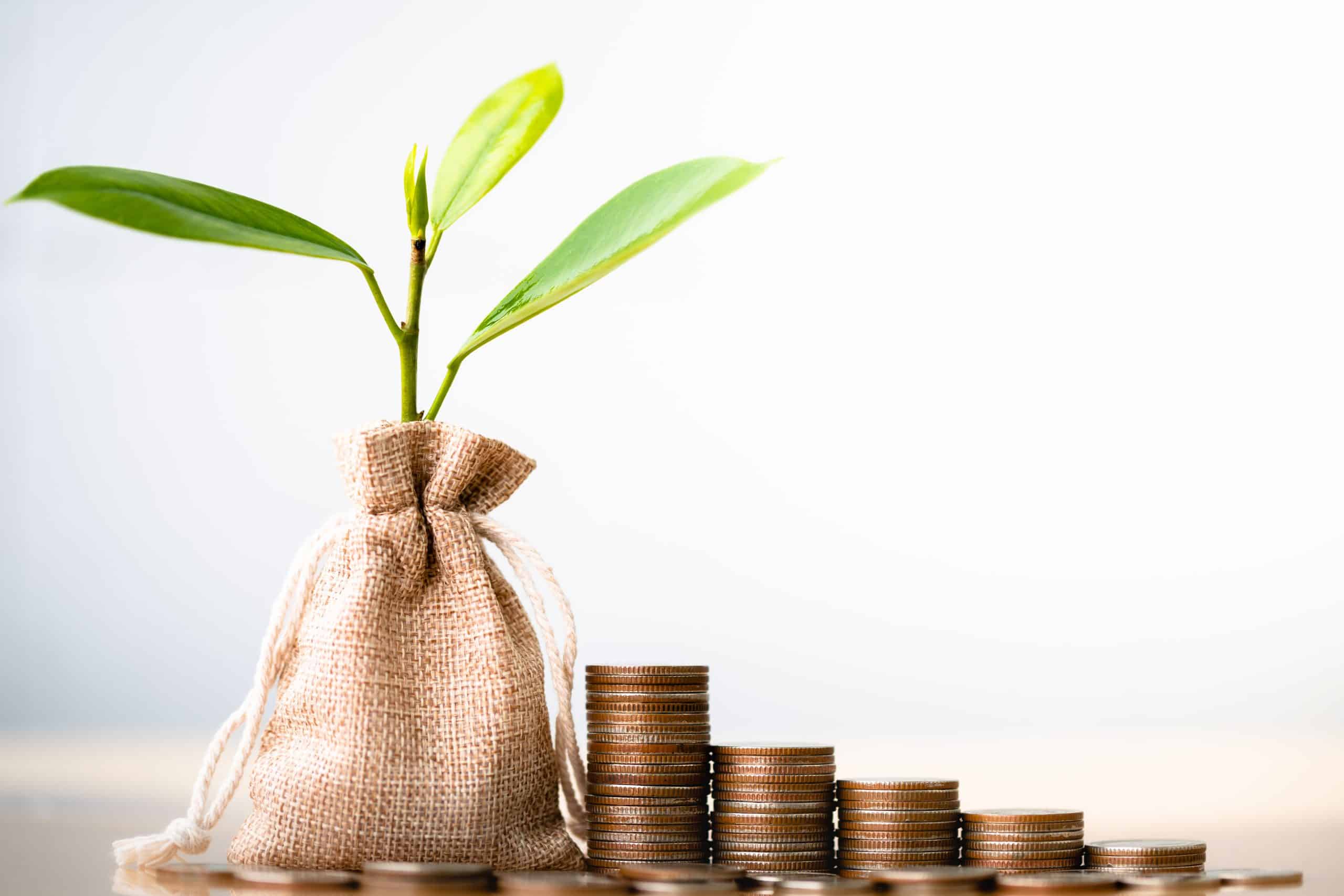 Quel Budget pour son SEO 